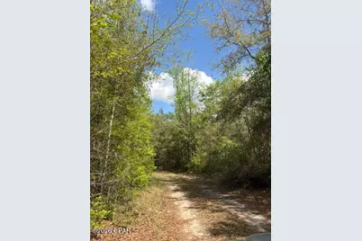 0 Iron Bridge Road, Marianna, FL 32448 - Photo 6