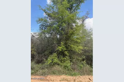 0 Iron Bridge Road, Marianna, FL 32448 - Photo 10