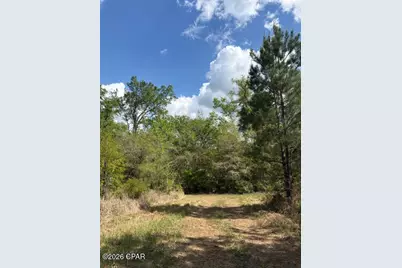 0 Iron Bridge Road, Marianna, FL 32448 - Photo 4