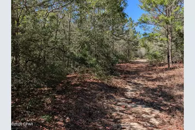 Tbd Willow Bend Drive #TBD, Defuniak Springs, FL 32433 - Photo 4