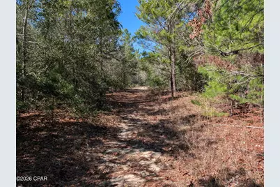 Tbd Willow Bend Drive #TBD, Defuniak Springs, FL 32433 - Photo 6