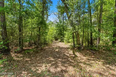 0 Cypress Lane, Chipley, FL 32428 - Photo 20