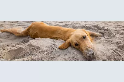 303 Nautilus Drive, Port Saint Joe, FL 32456 - Photo 60