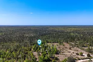 17123 Norma Ln, Fountain, FL 32438 - Photo 30