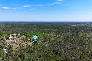 17123 Norma Ln, Fountain, FL 32438 - Photo 28