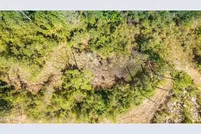 6804 Highway 231, Panama City, FL 32404 - Photo 10