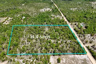 21937 Clarks Rd, Fountain, FL 32438 - Photo 1