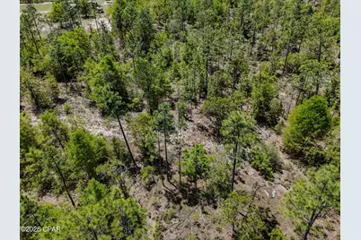 21937 Clarks Road, Fountain, FL 32438 - Photo 10