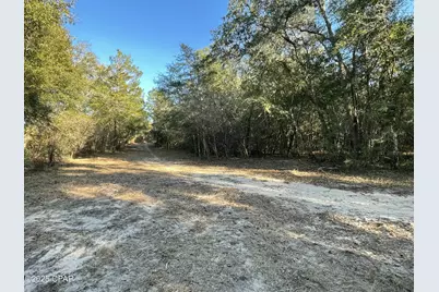 0000 Bent Oaks Road, Chipley, FL 32428 - Photo 4