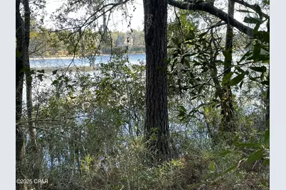 0000 Bent Oaks Road, Chipley, FL 32428 - Photo 10