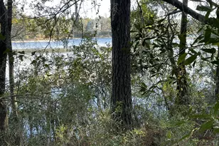 0000 Bent Oaks Rd, Chipley, FL 32428 - Photo 10