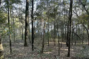 0000 Bent Oaks Rd, Chipley, FL 32428 - Photo 8