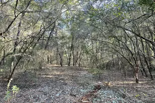 0000 Bent Oaks Rd, Chipley, FL 32428 - Photo 6