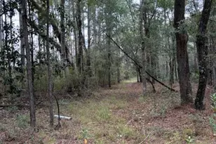 0000 Everest Dr, Chipley, FL 32428 - Photo 1