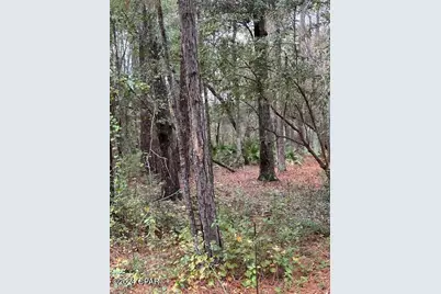 0000 Everest Drive, Chipley, FL 32428 - Photo 4