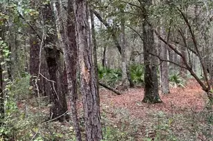 0000 Everest Dr, Chipley, FL 32428 - Photo 4