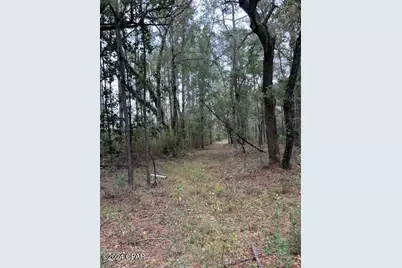0000 Everest Drive, Chipley, FL 32428 - Photo 1