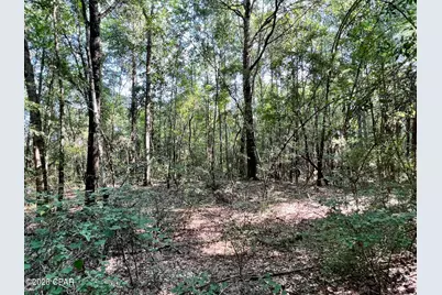 00 Broom Road, Bonifay, FL 32425 - Photo 6