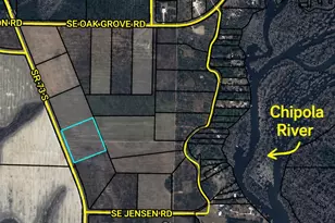 1741 S Sr 71, Kinard, FL 32449 - Photo 4
