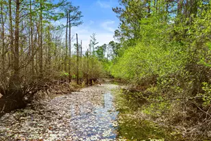 14322 Bonnie Girls Way, Panama City, FL 32409 - Photo 34