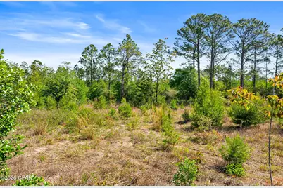 14322 Bonnie Girls Way, Panama City, FL 32409 - Photo 32
