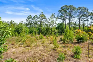 14322 Bonnie Girls Way, Panama City, FL 32409 - Photo 32