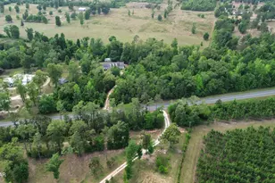 3651 River Rd, Sneads, FL 32460 - Photo 64
