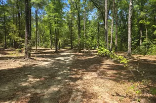 319 Clyde Brown Rd, Ponce de Leon, FL 32455 - Photo 34