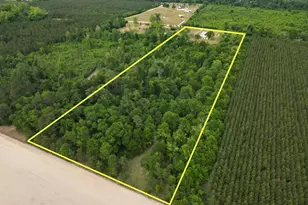 4927 Anderson Rd, Greenwood, FL 32443 - Photo 60
