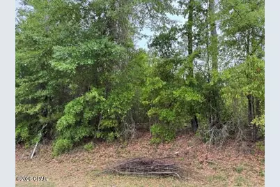 000 W Idlewood Drive, Wewahitchka, FL 32465 - Photo 2