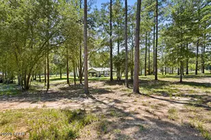 7910 Sneads Lndg Rd, Sneads, FL 32460 - Photo 46