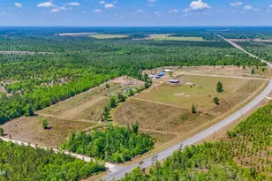 11842 SW State Road 73, Clarksville, FL 32430 - Photo 84