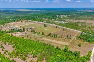 11842 SW State Road 73, Clarksville, FL 32430 - Photo 82
