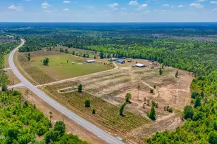 11842 SW State Road 73, Clarksville, FL 32430 - Photo 80