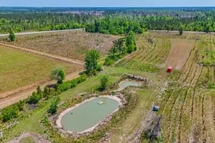 11842 SW State Road 73, Clarksville, FL 32430 - Photo 86