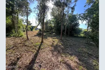 6420 Marvin Lane, Panama City, FL 32409 - Photo 4
