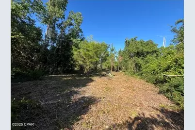 6420 Marvin Lane, Panama City, FL 32409 - Photo 4