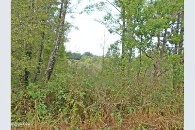 00 Express Road, Grand Ridge, FL 32442 - Photo 6