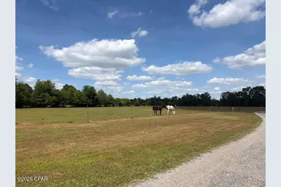 3761 Highway 231, Cottondale, FL 32431 - Photo 36
