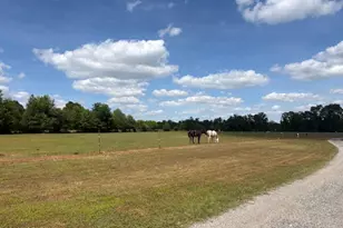 3761 Hwy 231, Cottondale, FL 32431 - Photo 36