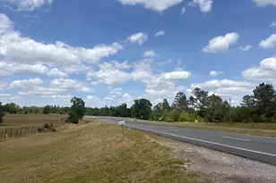 3761 Hwy 231, Cottondale, FL 32431 - Photo 60