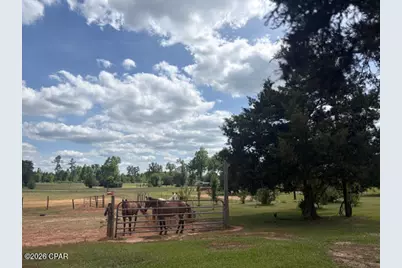 3761 Highway 231, Cottondale, FL 32431 - Photo 1