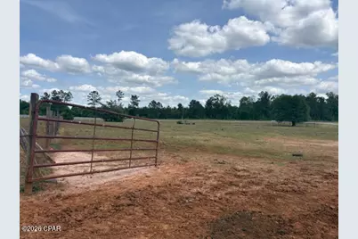 3761 Highway 231, Cottondale, FL 32431 - Photo 80