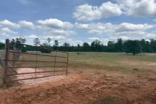3761 Hwy 231, Cottondale, FL 32431 - Photo 80