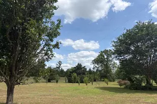 3761 Hwy 231, Cottondale, FL 32431 - Photo 74