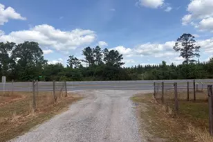 3761 Hwy 231, Cottondale, FL 32431 - Photo 58