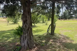 3761 Hwy 231, Cottondale, FL 32431 - Photo 38