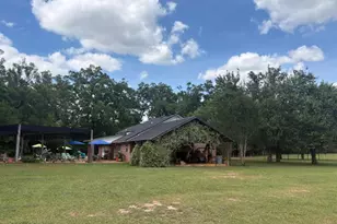 3761 Hwy 231, Cottondale, FL 32431 - Photo 16