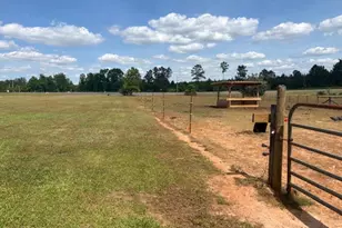 3761 Hwy 231, Cottondale, FL 32431 - Photo 38