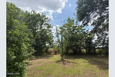 3761 Highway 231, Cottondale, FL 32431 - Photo 76